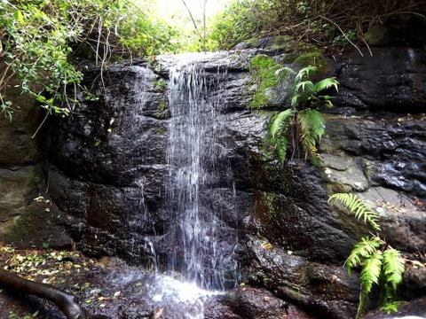 Riverbend Byron Hinterland Retreat - Accommodation Mermaid Beach 2
