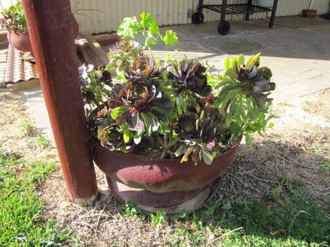 Ocean View Retreat - Accommodation Mermaid Beach 4