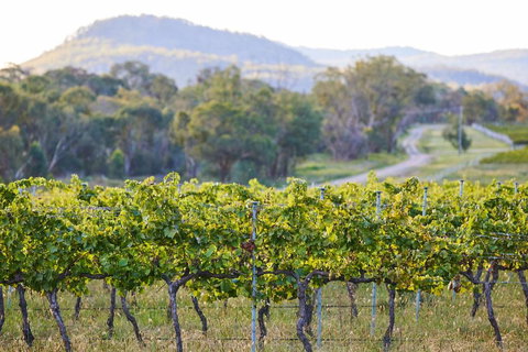 James Farmhouse - Accommodation Mermaid Beach 6