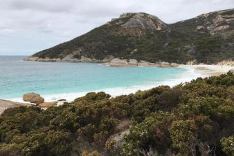 Zephyr Studio - Accommodation Mermaid Beach 6
