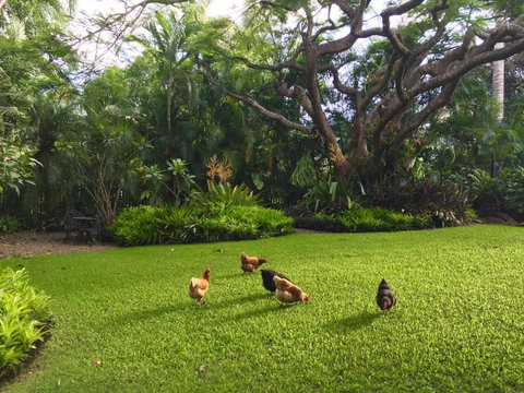 Eden Rest - Accommodation Mermaid Beach 1