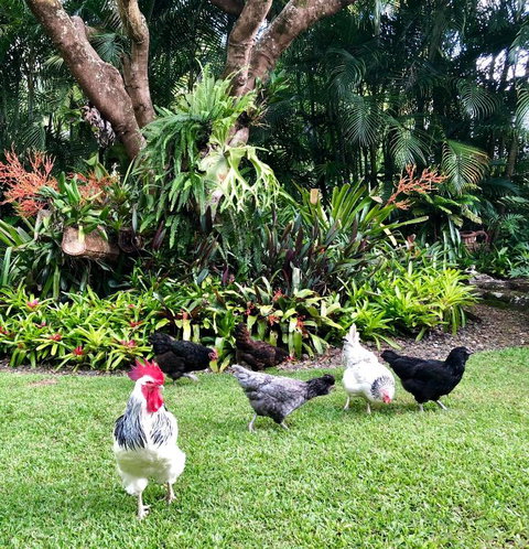 Eden Rest - Accommodation Mermaid Beach 3