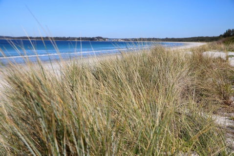 Sandy Toes Beach House Jervis Bay 2min To Beach - Accommodation Mermaid Beach 2
