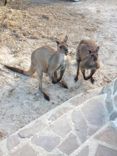 Anchorage Apartments - Accommodation Mermaid Beach 3