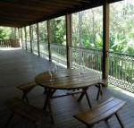 Coucals Cottage - Accommodation Mermaid Beach