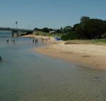 Black Dolphin Waterfront Apartment - Accommodation Mermaid Beach