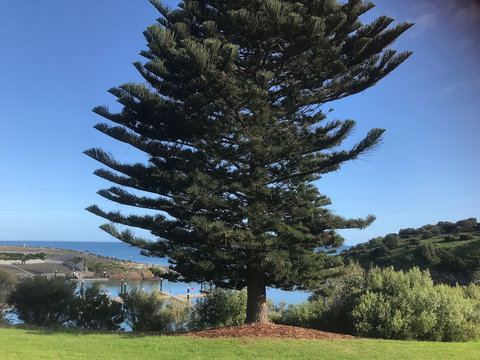 Penneshaw Oceanview Apartments - Accommodation Mermaid Beach 5