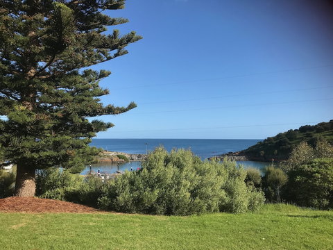 Penneshaw Oceanview Apartments - Accommodation Mermaid Beach 4