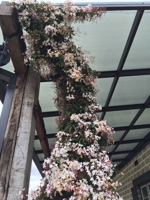 Bakehouse '38 Restaurant & Guesthouse - Accommodation Mermaid Beach 5