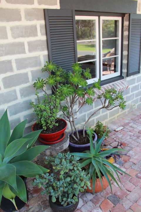 Bakehouse '38 Restaurant & Guesthouse - Accommodation Mermaid Beach 2