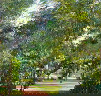 Banyan Tree Resort - Accommodation Mermaid Beach