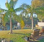 The Oasis on Jacobs Drive - Accommodation Mermaid Beach