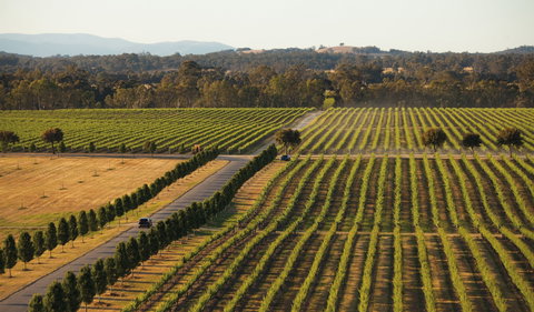 The Mitchelton Hotel Nagambie - MGallery By Sofitel - Accommodation Mermaid Beach 1