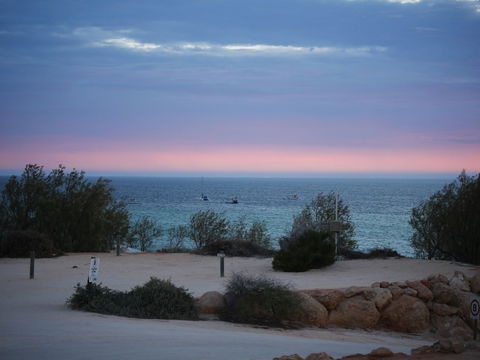Denham Seaside Caravan Park - Accommodation Mermaid Beach 1