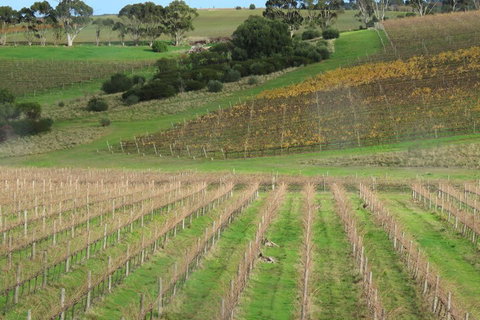 Hotel California Road Inkwell Wines - Accommodation Mermaid Beach 4