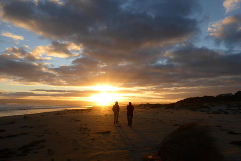 Hazards View Retreat - Accommodation Mermaid Beach 6