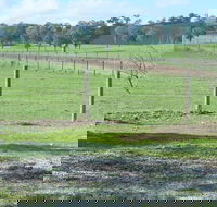Yea Woodduck Cottage - Accommodation Mermaid Beach