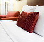 Childers Eco lodge - Accommodation Mermaid Beach