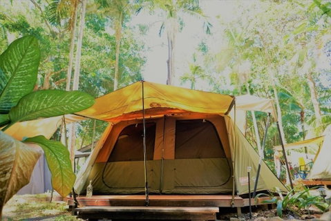 Dougies Backpackers - Accommodation Mermaid Beach 5