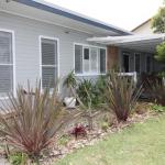 Natures Beauty In Berrara - Accommodation Mermaid Beach 0