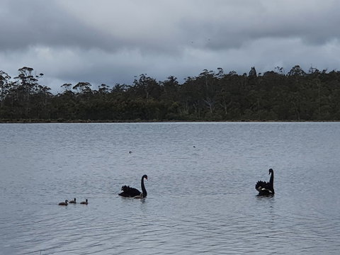 Lake Yalleena Nature Retreat - Accommodation Mermaid Beach 0