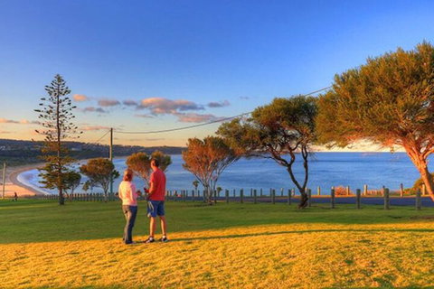 Beach Cabins Merimbula - Accommodation Mermaid Beach 1