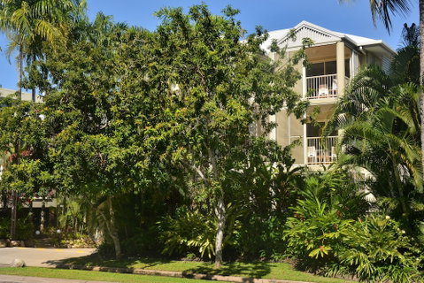 Port Douglas Apartments - Accommodation Mermaid Beach 6