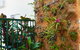 Port Douglas Apartments - thumb 1