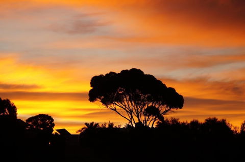 Lindsays Of Kangaroo Island - Accommodation Mermaid Beach 0
