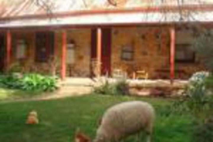  Accommodation Mermaid Beach