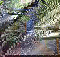 Lornebeach Apartments - Accommodation Mermaid Beach