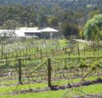 Eureka Farm - Accommodation Mermaid Beach