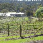 Eureka Farm - Accommodation Mermaid Beach 0
