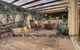 Cherry Blossom Cottage Beechworth Getaways - thumb 5