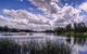 Cherry Blossom Cottage Beechworth Getaways - thumb 2