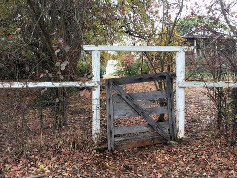 Historic Oak Hill House Estate Truffle Gourmet Festival Region - Accommodation Mermaid Beach 2