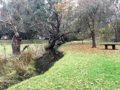 Historic Oak Hill House Estate Truffle Gourmet Festival Region - Accommodation Mermaid Beach 1