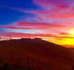 One Tree Hill - Accommodation Mermaid Beach