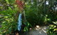 Drifting Port Douglas - thumb 6