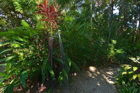 Drifting Port Douglas - Accommodation Mermaid Beach 5