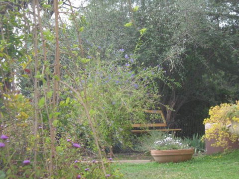 Amalie Cottage Waikerie Unit 1 - Accommodation Mermaid Beach 5