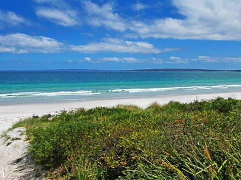 Sandcastles Very Family Friendly - Accommodation Mermaid Beach 3