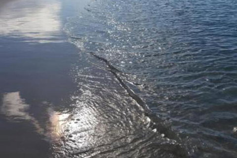 Beachside Husky Waterfront - Accommodation Mermaid Beach 7