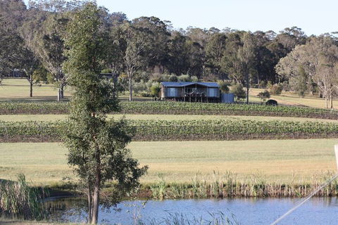 Blackwattle Luxury Retreats - Accommodation Mermaid Beach 1