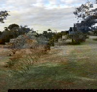 Young Budget Accommodation - Accommodation Mermaid Beach