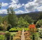 Delderfield Cottages - Accommodation Mermaid Beach