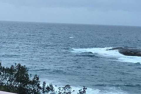 Absolute Oceanfront Cottage - Accommodation Mermaid Beach 6