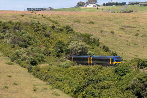 Absolute Oceanfront Cottage - Accommodation Mermaid Beach 4