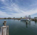 Bayside Beauty - Accommodation Mermaid Beach