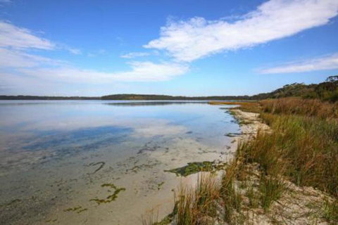Zen At Culburra Pet Friendly 8 Mins To Beach - Accommodation Mermaid Beach 4